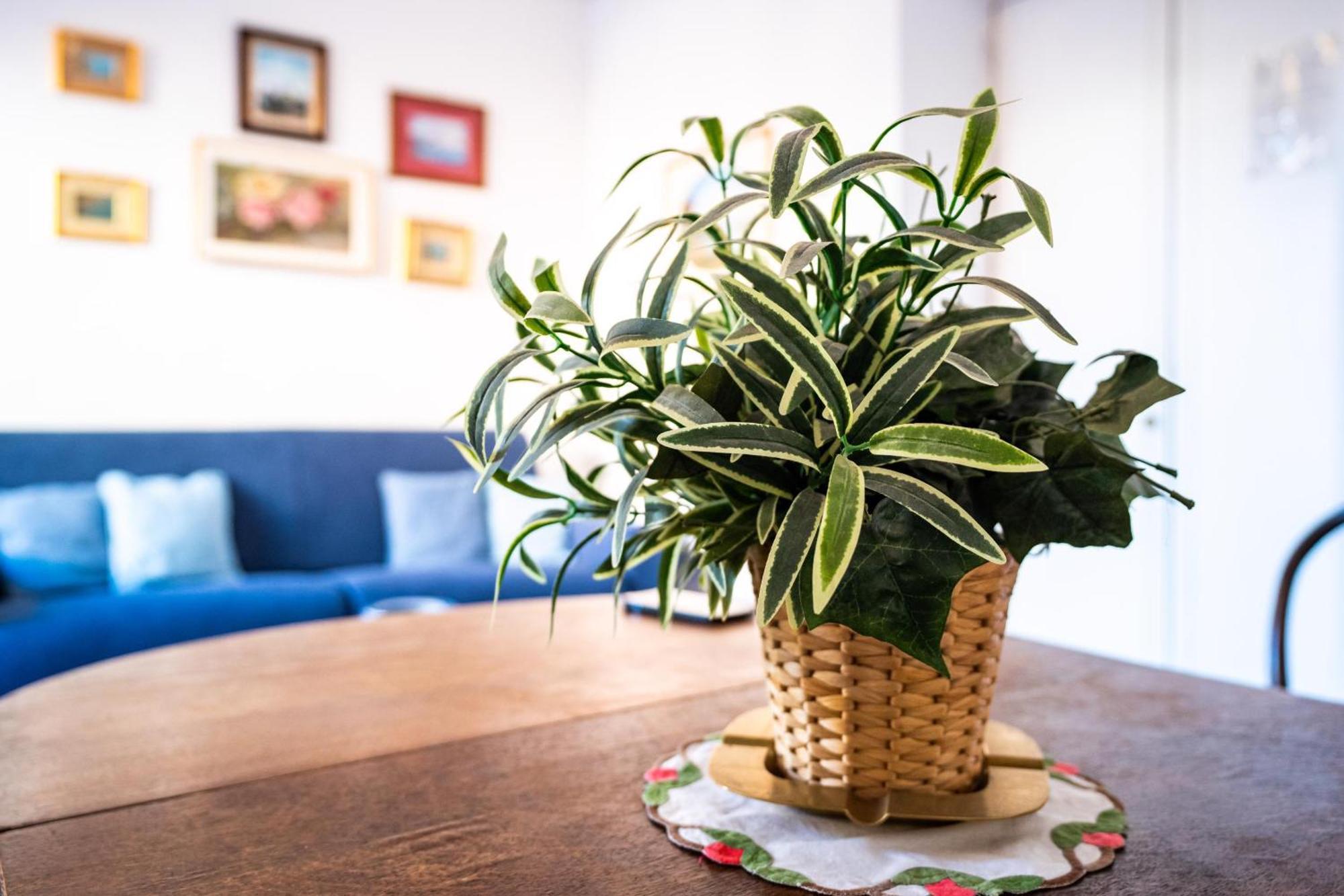 Apartmán Stefania Flat - Amalfi Center Exteriér fotografie